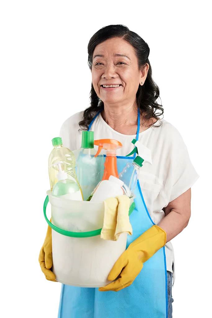 Professional maid service